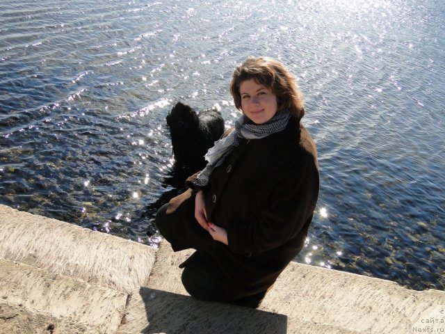 Фото: ньюфаундленд Супер Премиум Вашингтон, Елена Тищенко