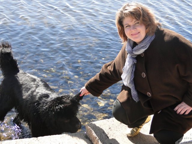 Фото: ньюфаундленд Супер Премиум Вашингтон, Елена Тищенко