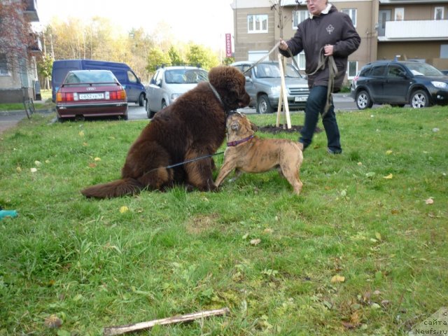 Фотография № 52167