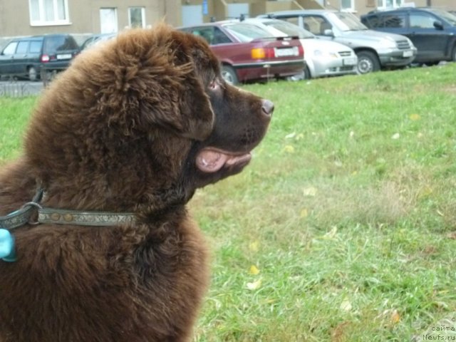 Фотография № 52171