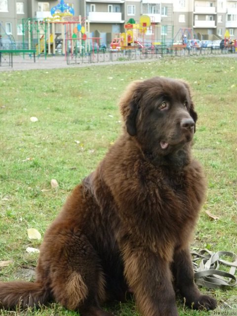 Фотография № 52173