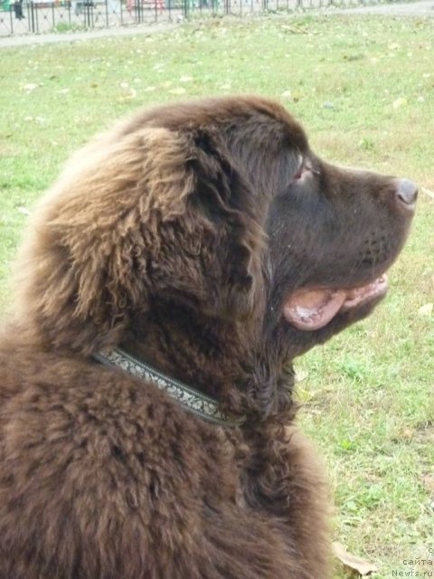 Фотография № 52174