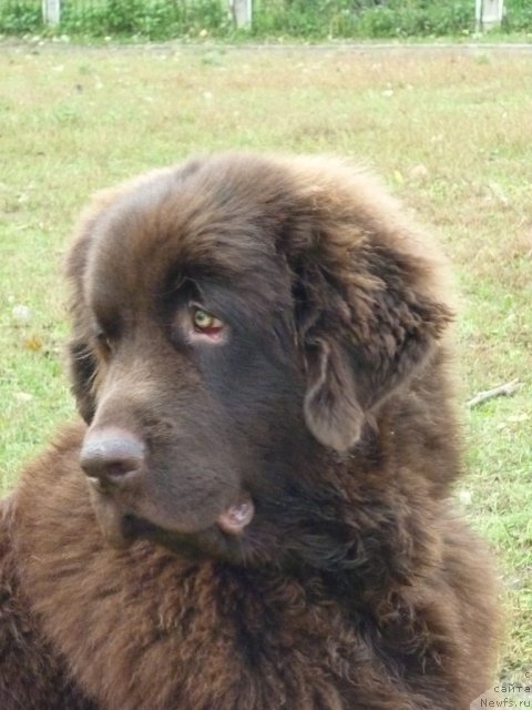 Фотография № 52175