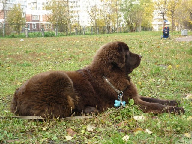 Фотография № 52177