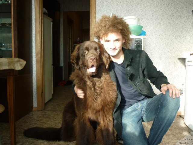 Фотография № 52180