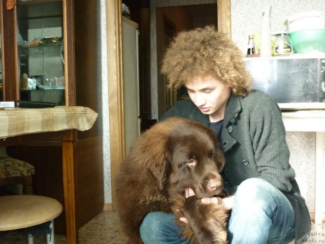 Фото: ньюфаундленд Фанньюф Ура Я с Вами