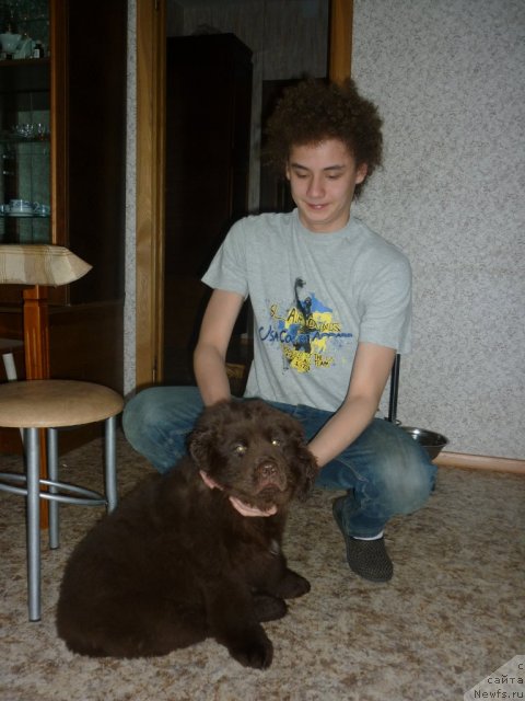 Фотография № 52194