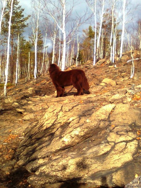 Фотография № 52205