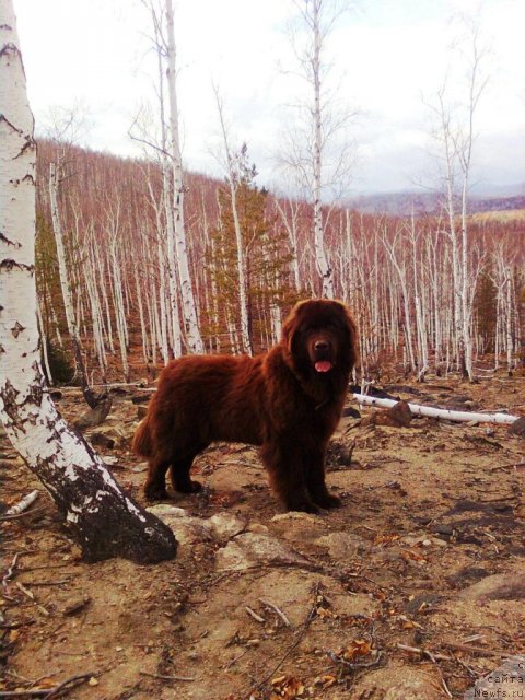 Фотография № 52209