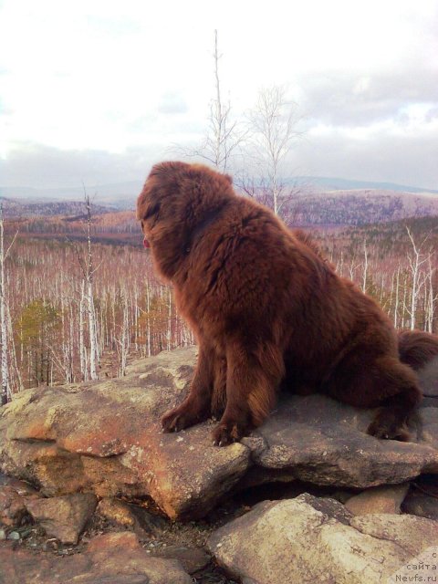 Фотография № 52214