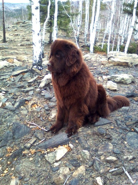 Фотография № 52219