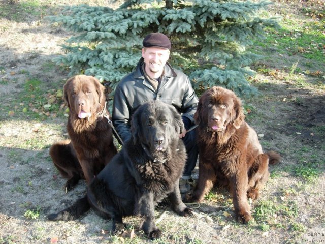 Фото: ньюфаундленд Конфуций, ньюфаундленд Лесная Сказка Раскрасавица, ньюфаундленд Звездная Тоскана Лесная Раскрасавица, Андрей Ларин