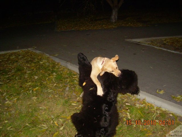 Фото: [d9765]и Вива