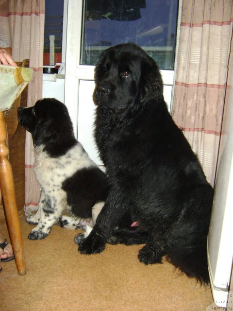 Фото: Елена Муха