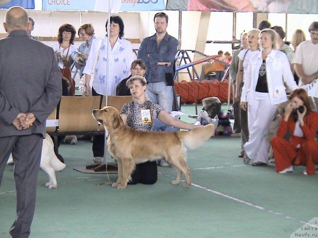Фото: Сергей Форшаков