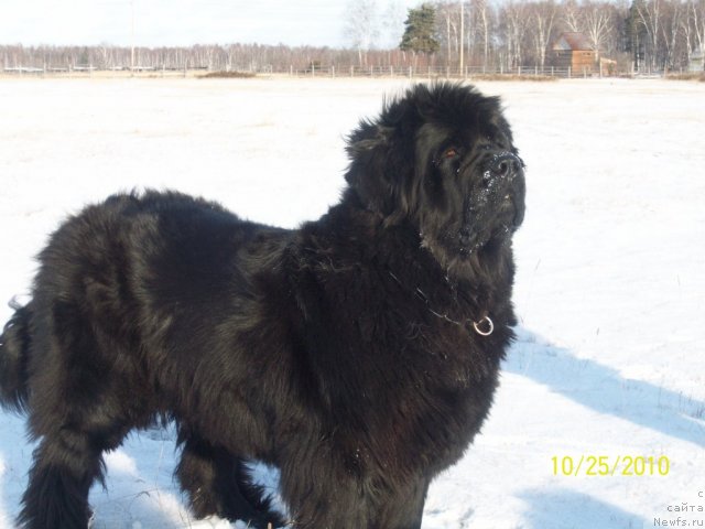 Фотография № 52334