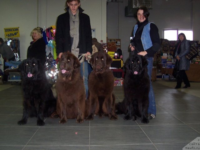 Фотография № 52351