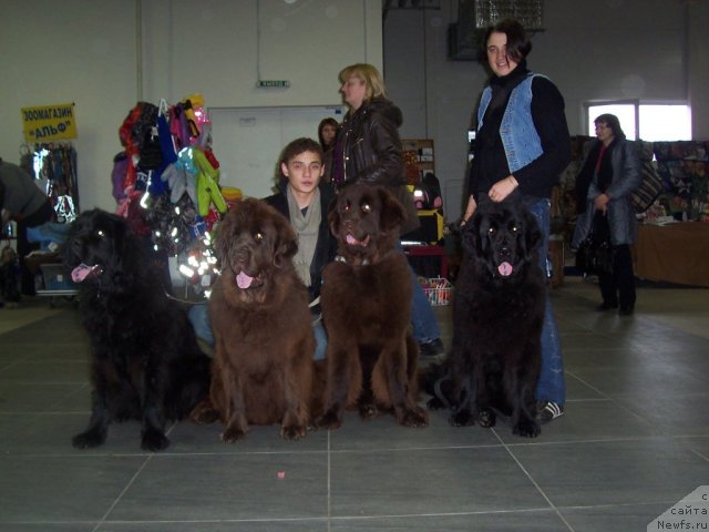 Фотография № 52352