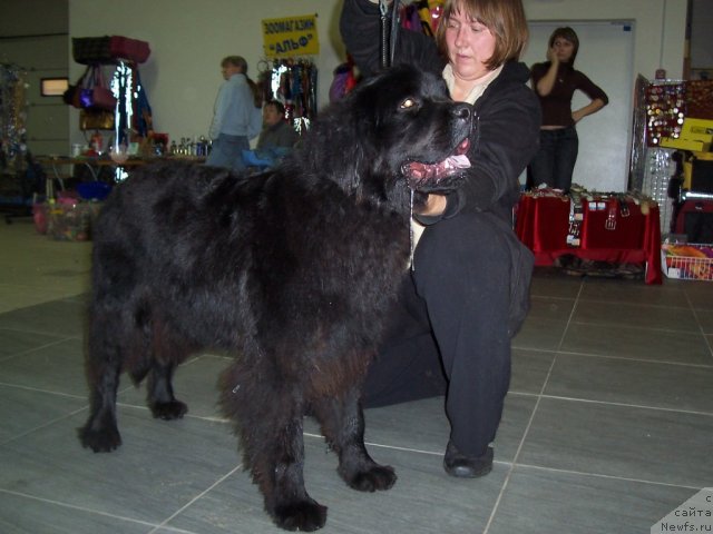 Фотография № 52354