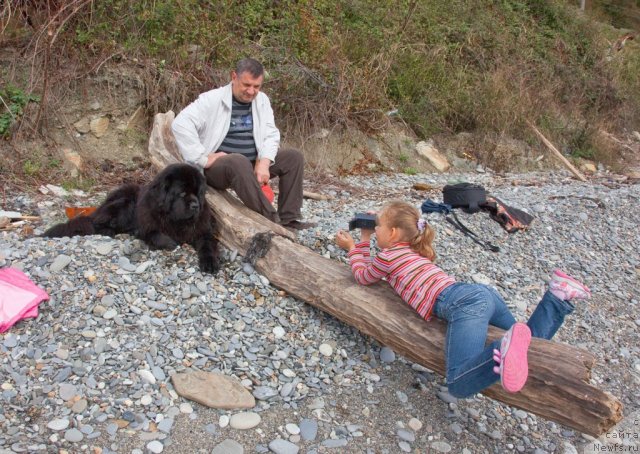 Фотография № 52373