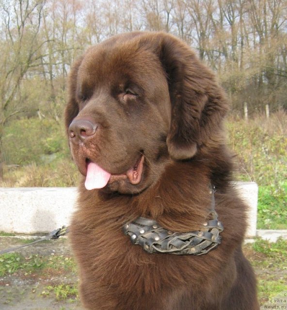 Фотография № 52380