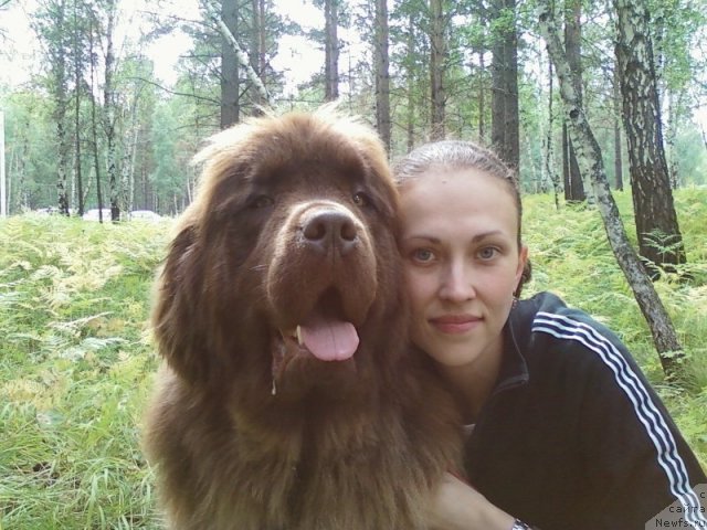 Фото: ньюфаундленд Мега Стар из Аркаима, Анна Мельзенинова