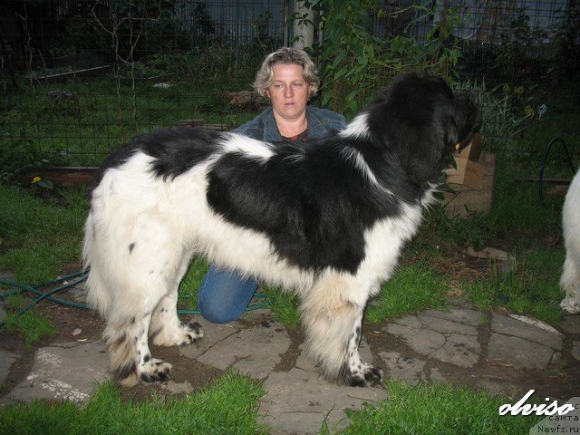 Фотография № 52413