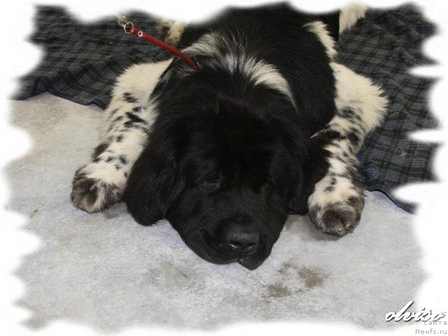 Фотография № 52415