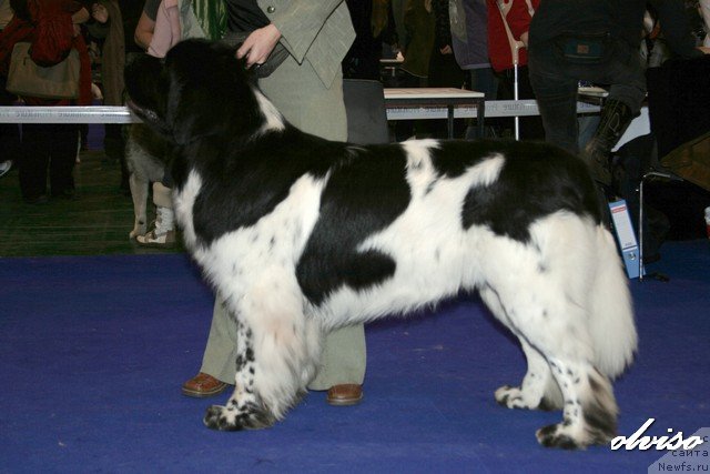 Фотография № 52420