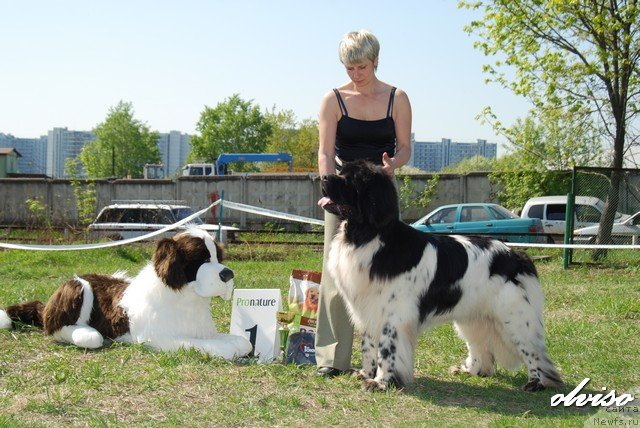 Фотография № 52427