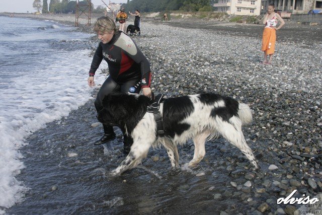 Фотография № 52428