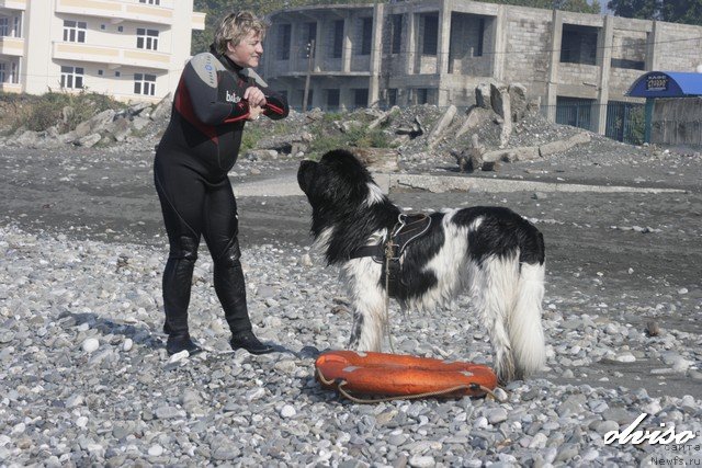 Фотография № 52429