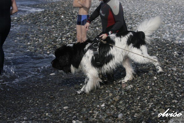 Фотография № 52430