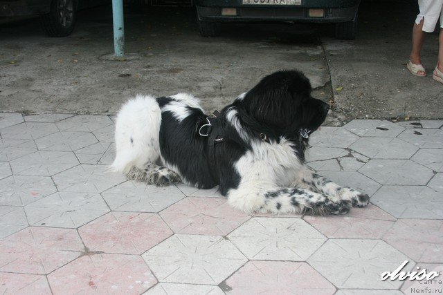 Фотография № 52443