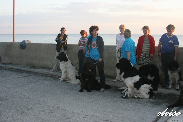 Фотография № 52444