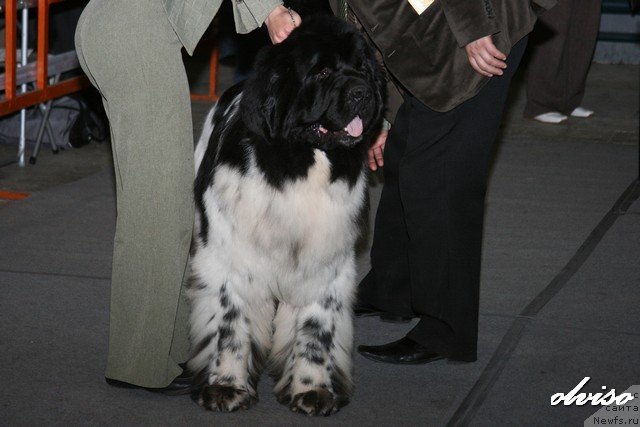 Фотография № 52447