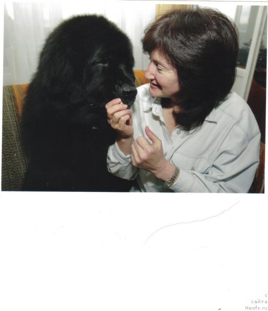 Фото: ньюфаундленд G-Boatswain Men King Coole, Лада Павликовская