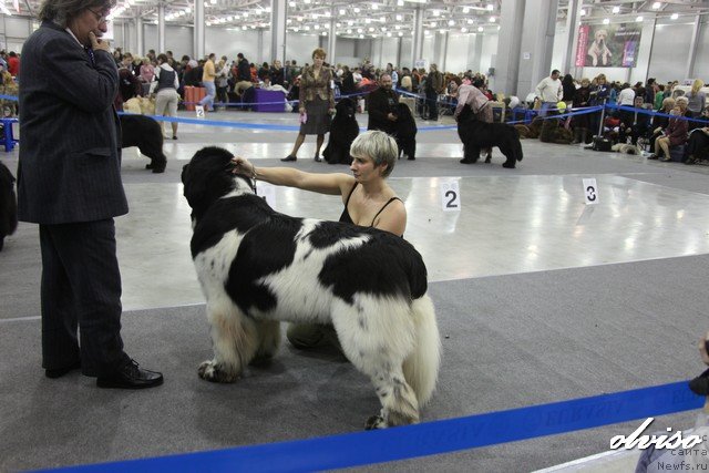 Фотография № 52451