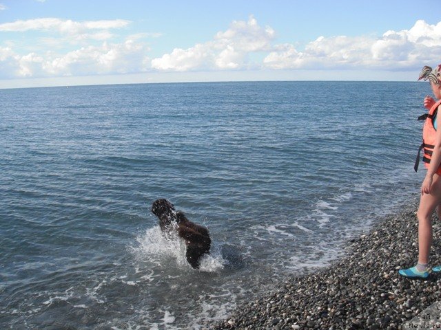 Фотография № 52464