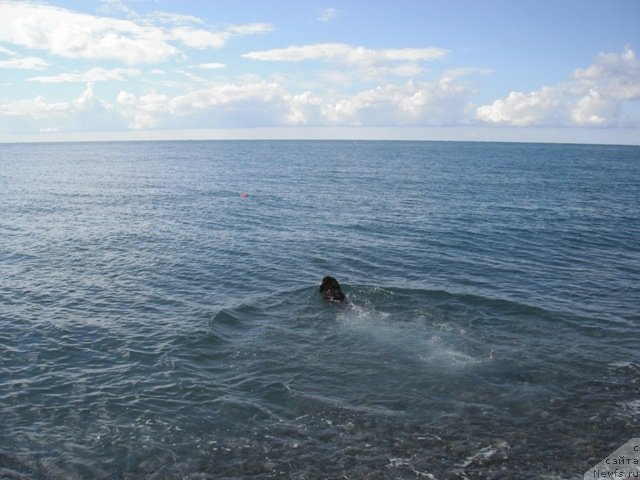 Фотография № 52465