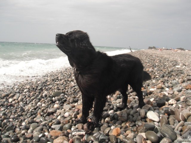 Фотография № 52518