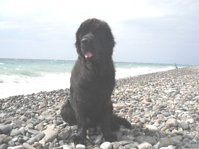 Фотография № 52519