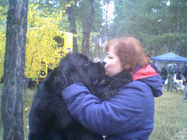 Фото: ньюфаундленд Виола (Viola), Наталия Шевчук