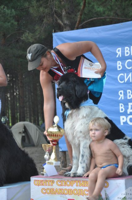 Фотография № 52522