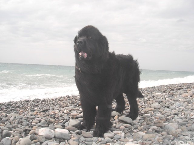 Фотография № 52541