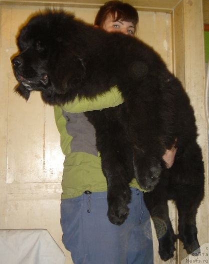 Фото: Дар СвеЗы Юта Дорадо_3мес_25дн