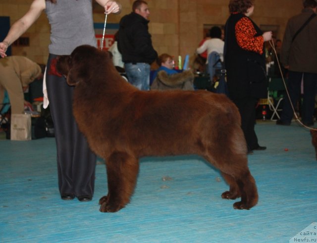 Фотография № 52608