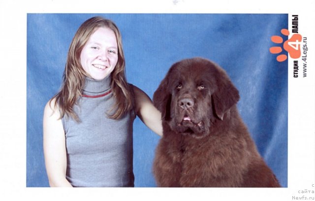 Фотография № 52627