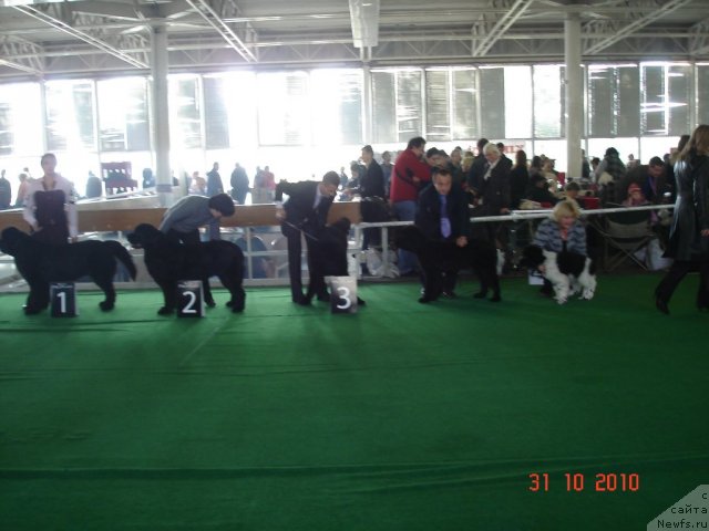 Фотография № 52630