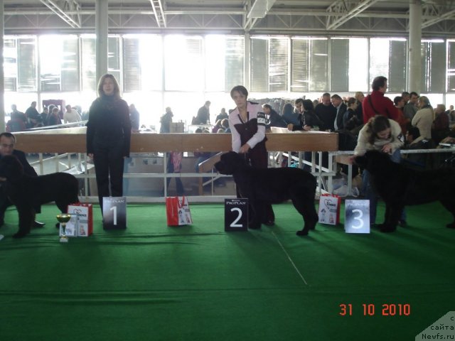 Фотография № 52632